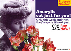 Hallmark Flower Market Online Ad