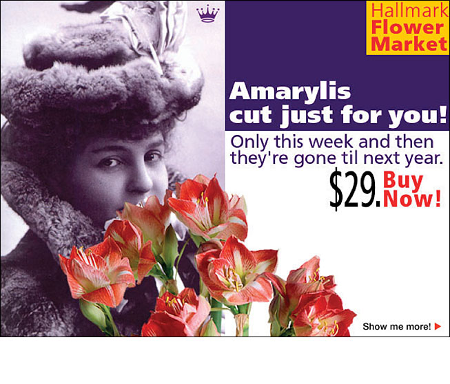 Hallmark Flower Market Online Ad